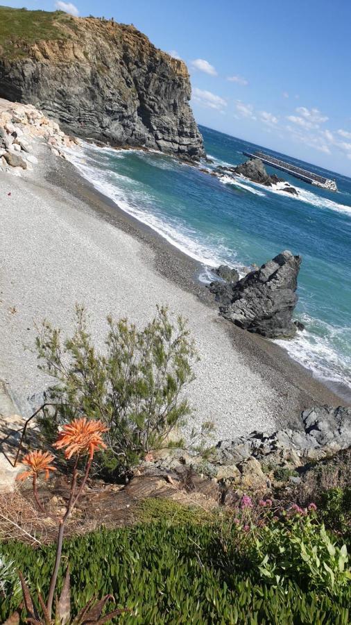 Port De Llanca , La Miranda Apartment ภายนอก รูปภาพ